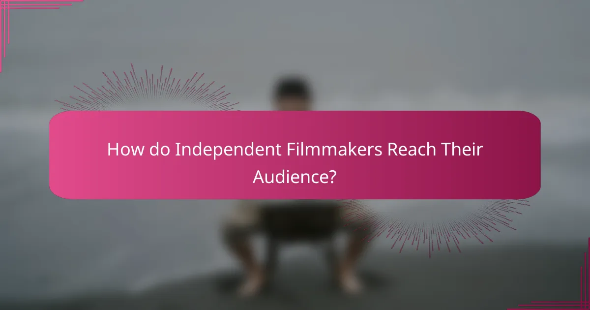 How do Independent Filmmakers Reach Their Audience?