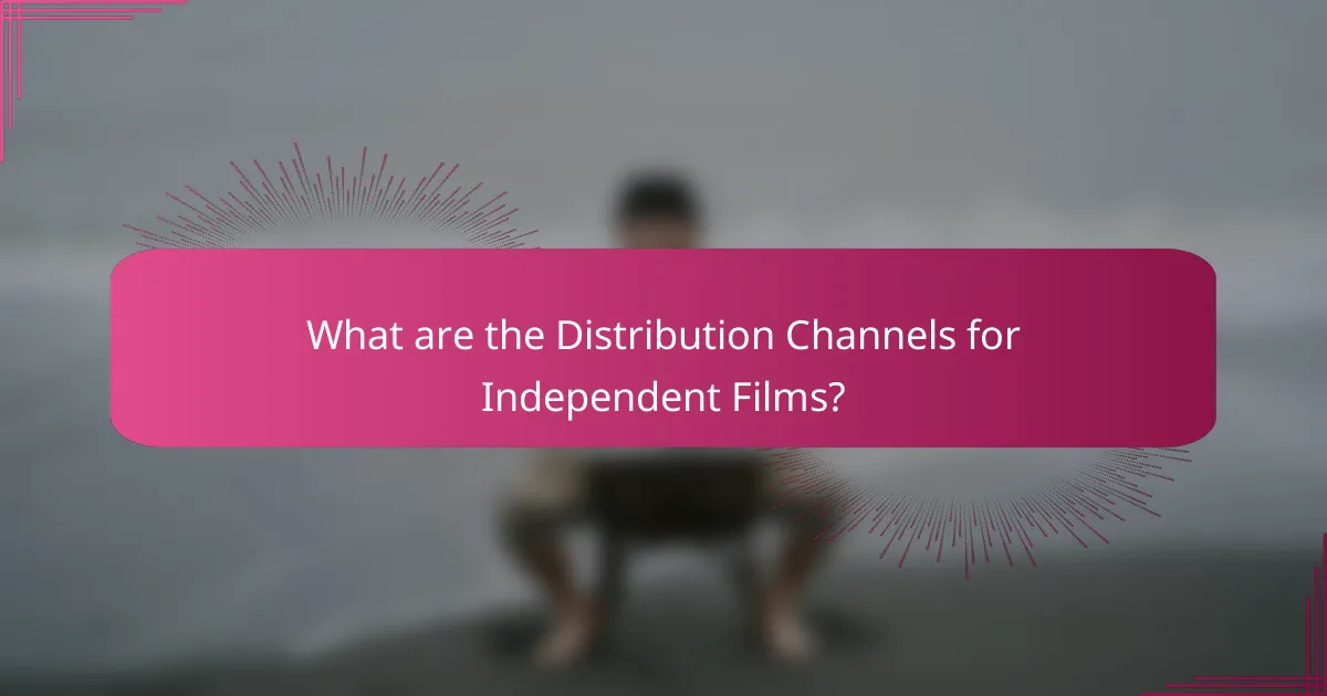What are the Distribution Channels for Independent Films?